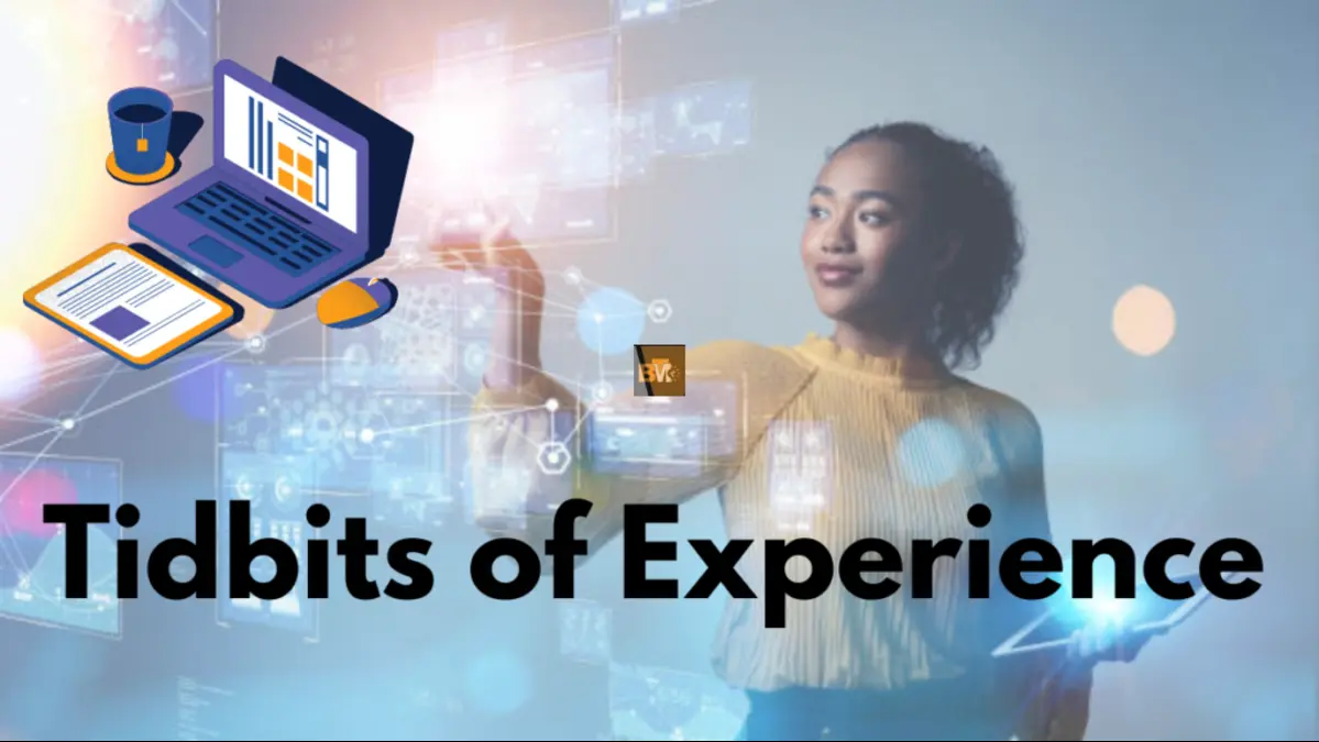 tidbits of experience