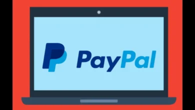 paypal login activity