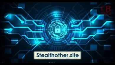 stealthother.site